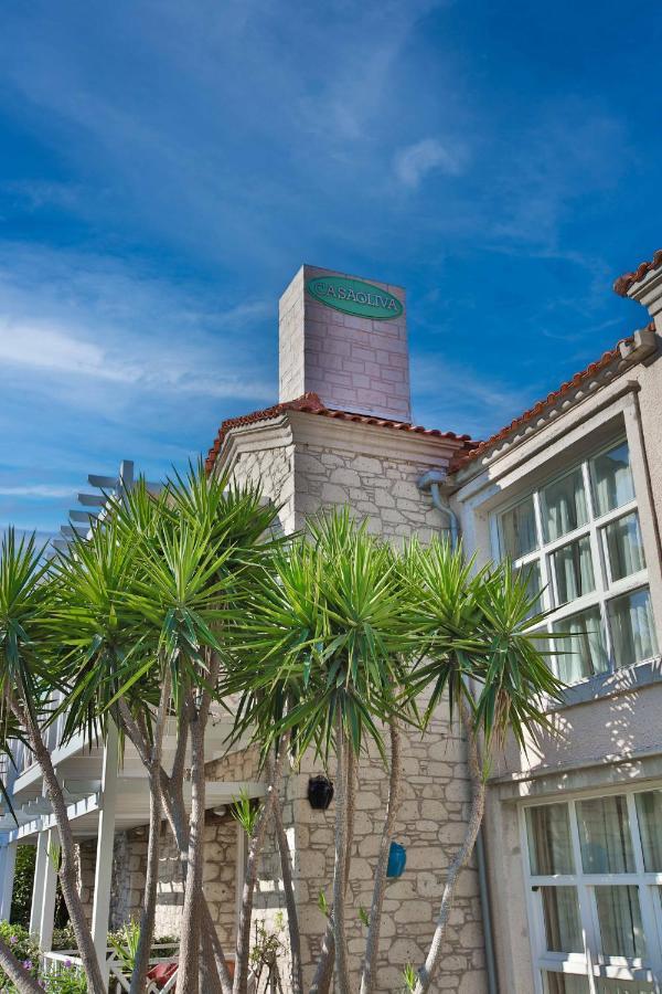 Casa Oliva Alacati - Adults Only 14 Plus מראה חיצוני תמונה