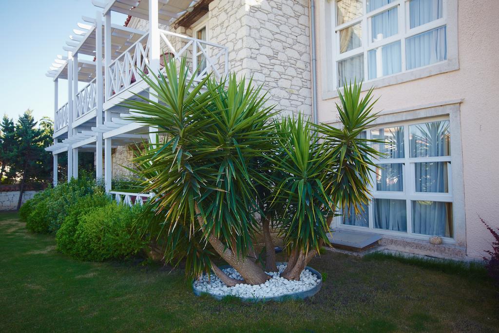 Casa Oliva Alacati - Adults Only 14 Plus מראה חיצוני תמונה