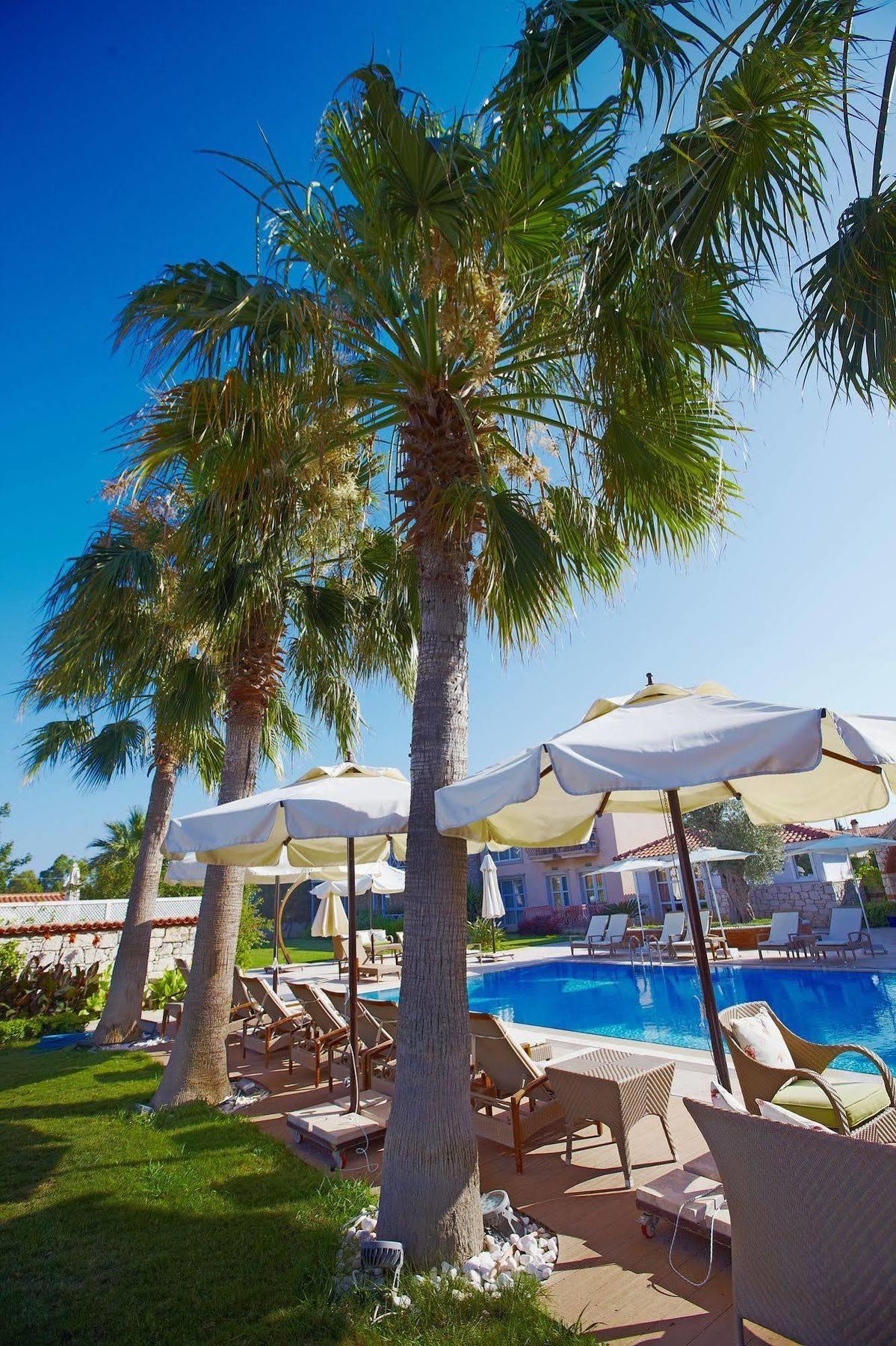 Casa Oliva Alacati - Adults Only 14 Plus מראה חיצוני תמונה
